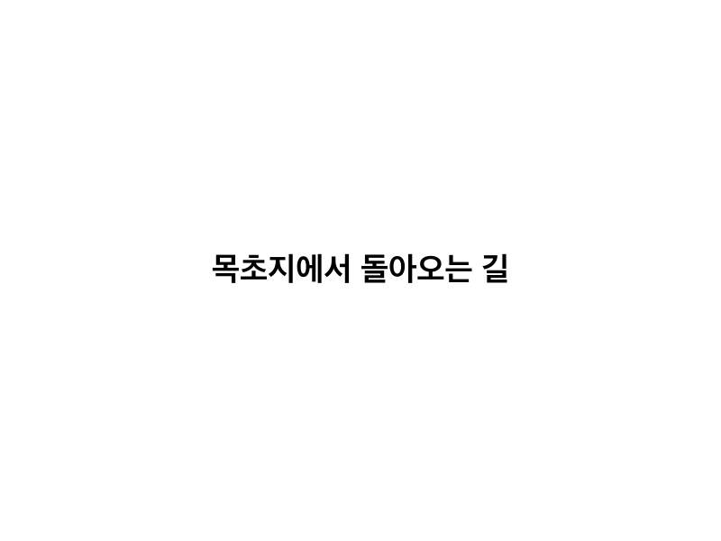 목초지에서 돌아오는 길