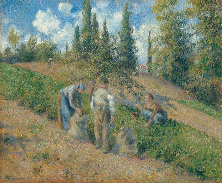 퐁투아즈에서의 수확