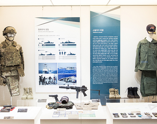 Cheonghae Unit Special Warfare Group Combat Uniform and Gear