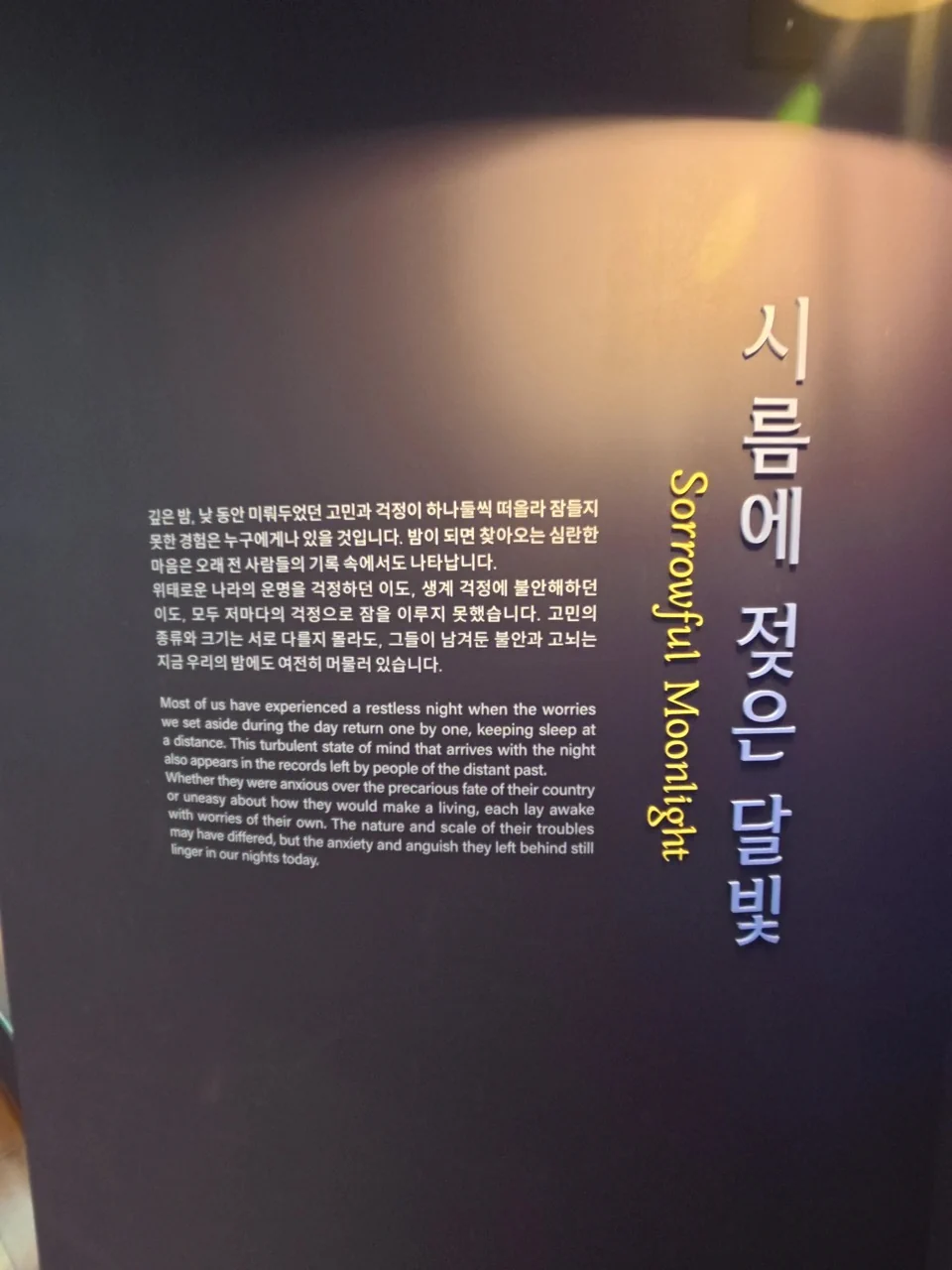 섹션: 시름에 젖은 달빛