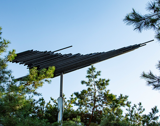 The Flying Wing