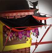 Palanquin for the King