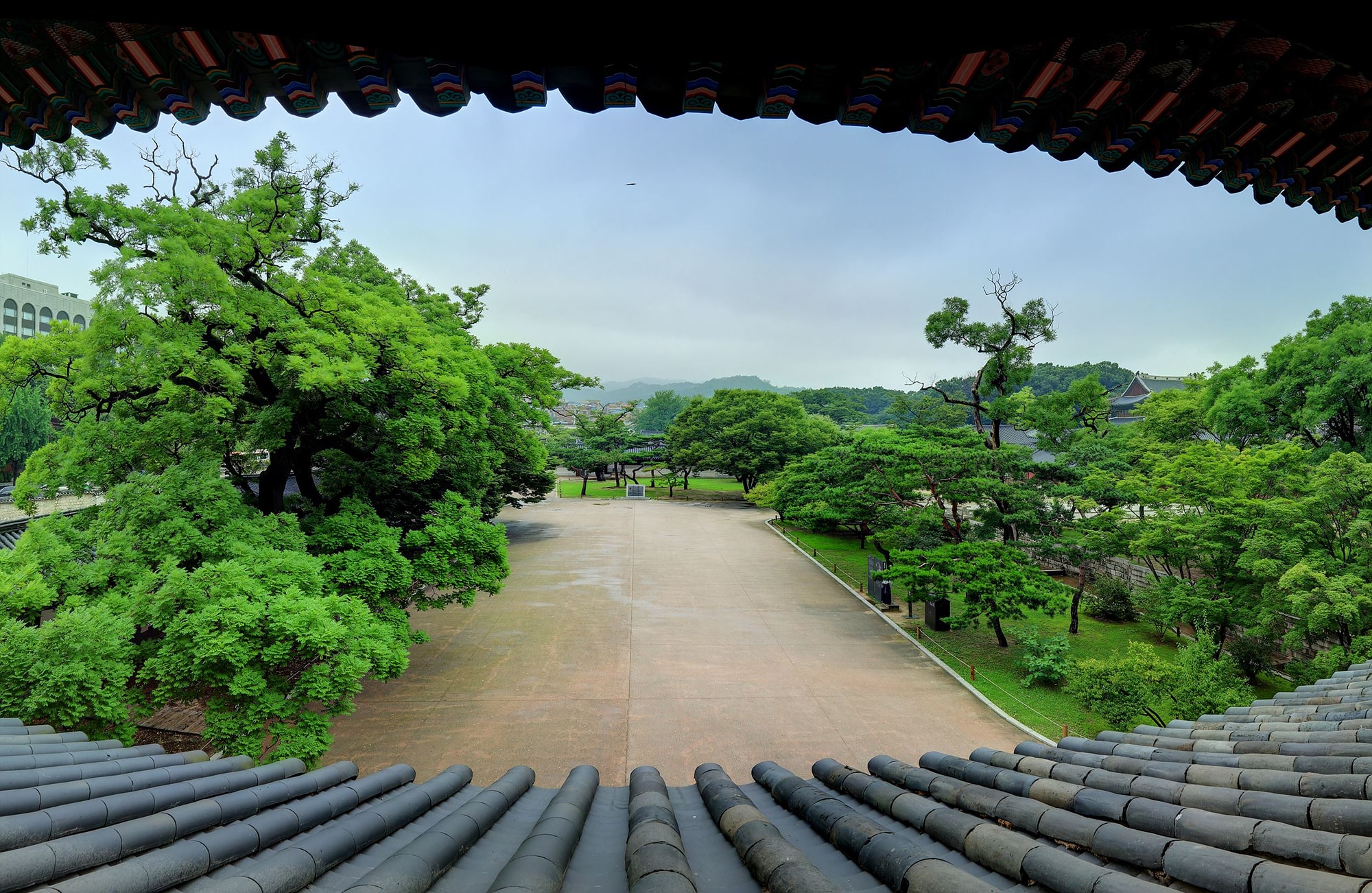 Pagoda Trees by Donhwamun Gate