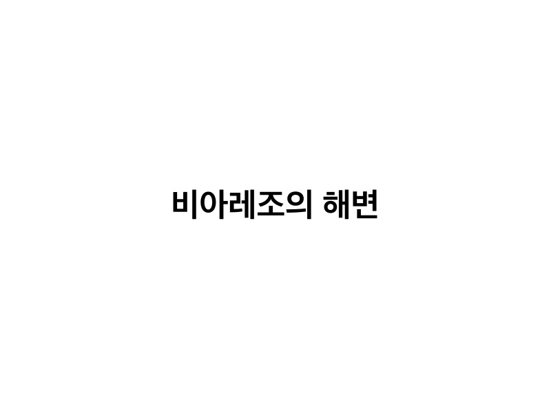 비아레조의 해변