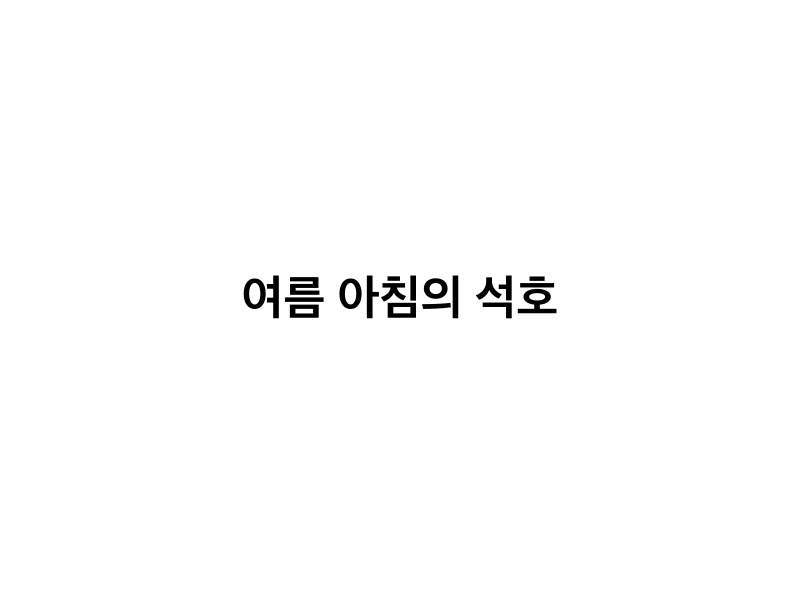여름 아침의 석호