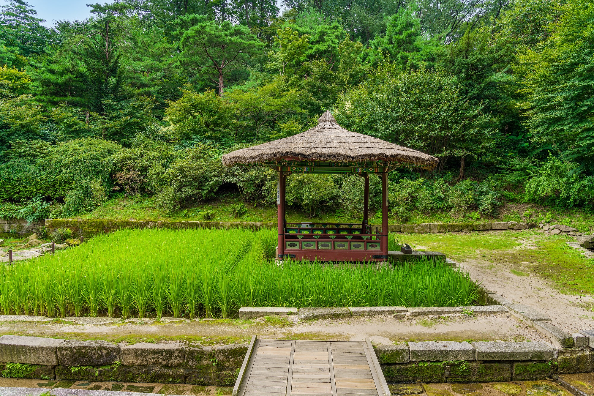 Cheonguijeong Pavilion and Rice Paddy