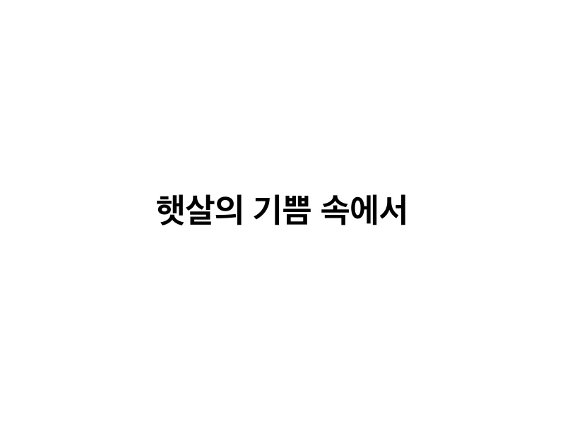 햇살의 기쁨 속에서