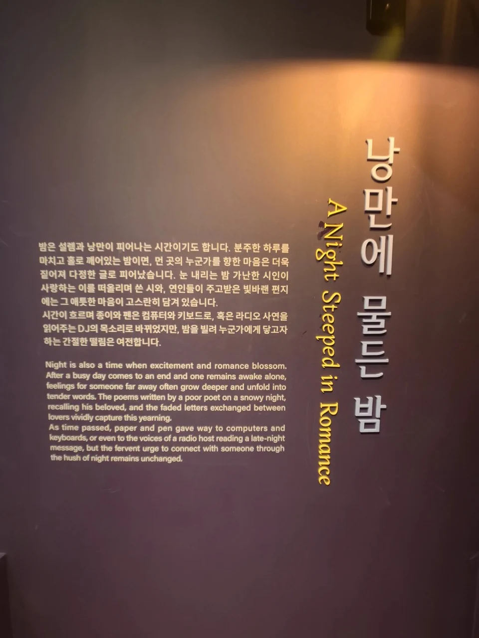 섹션: 낭만에 물든 밤