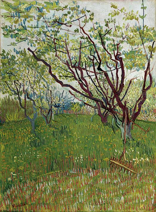 꽃 피는 과수원