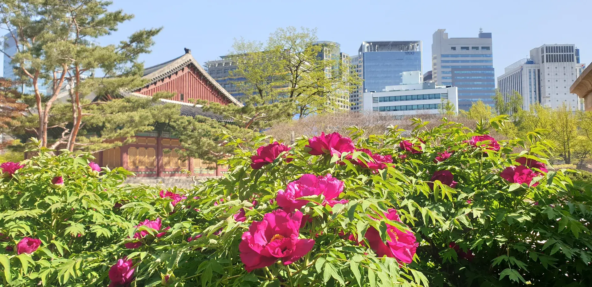 Deoksugung Palace